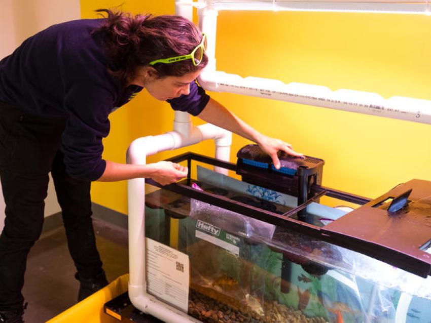 Woman with fish tank
